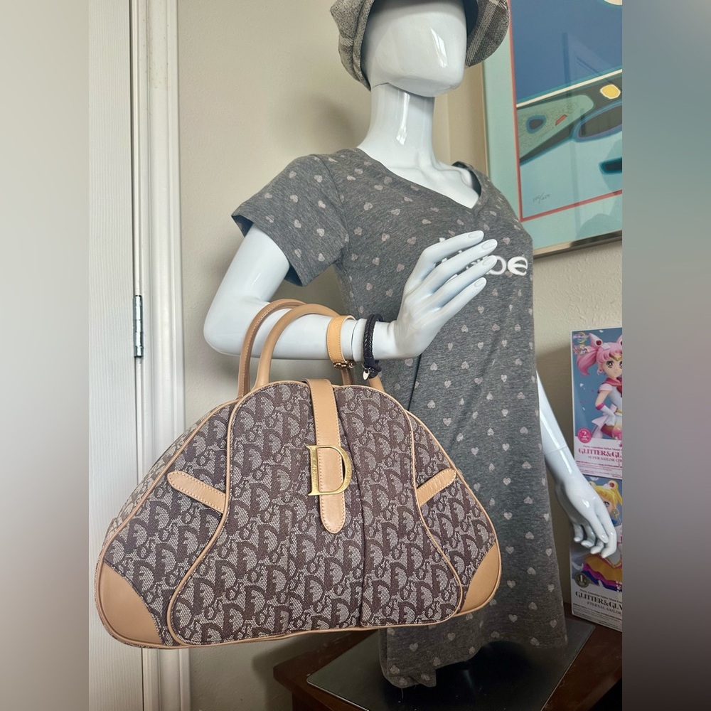 Christian Dior Double Saddle Bowler Bag